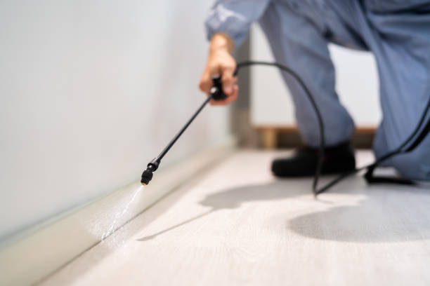 Certified termite inspector examining foundation in Columbus